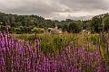 2015_08_01 (0010)